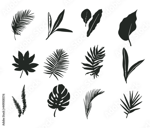 A set of silhouettes of palm leaves. Vector illustration isolated on a white background