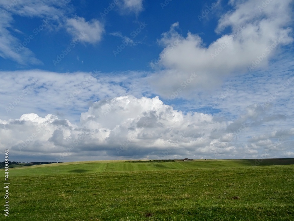 green field and blue sky