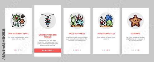 Ocean Underwater Life Onboarding Mobile App Page Screen Vector. Ocean Fish And Star, Jellyfish And Turtle, Crab And Skate, Mussels And Phytoplankton Illustrations