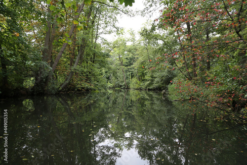 Fluß Landschaft am Alster lauf in Hamburg © klaus