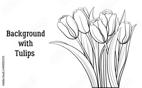 Tulips Flowers and Leaves, Black Contours Isolated on White Background. Vector