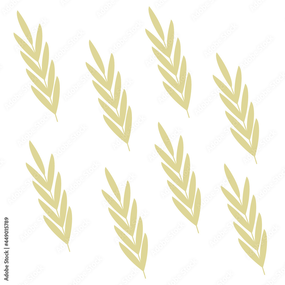 millet twigs on a white background