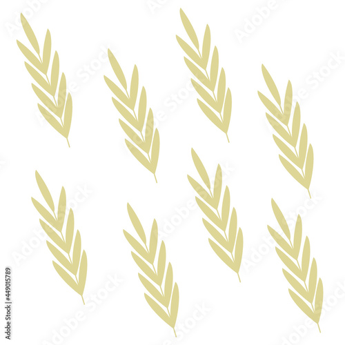 millet twigs on a white background