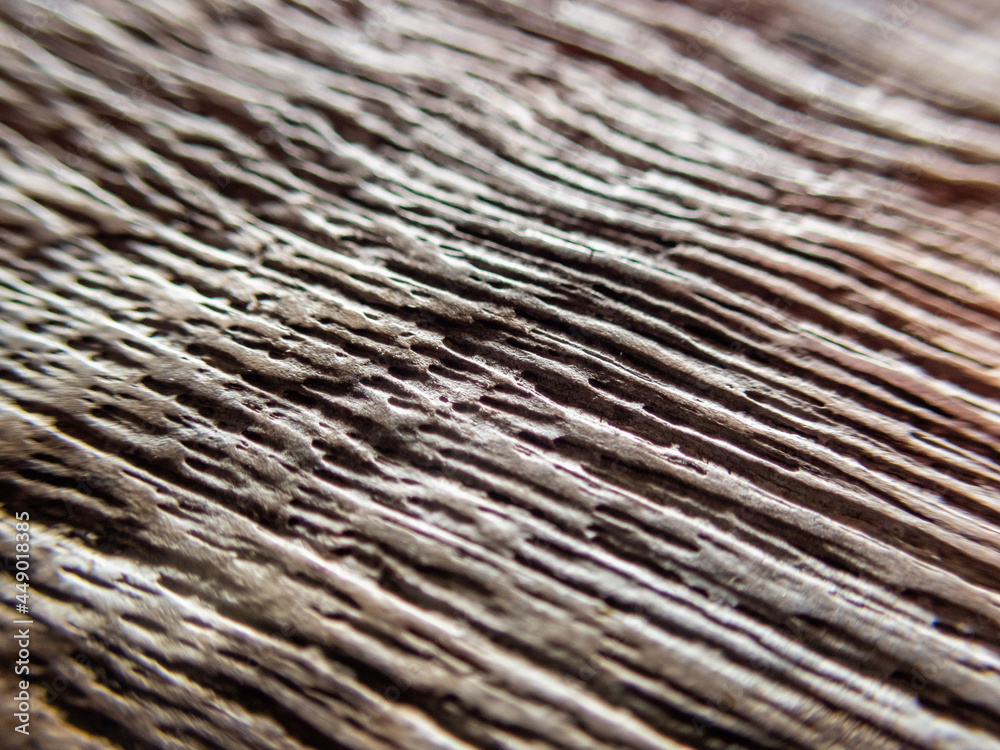 selective focus texture old wooden table, beautiful pattern, brown Background image for designing to insert text. selective focus texture old wooden table, beautiful pattern, brown Background image for designing to insert text.
