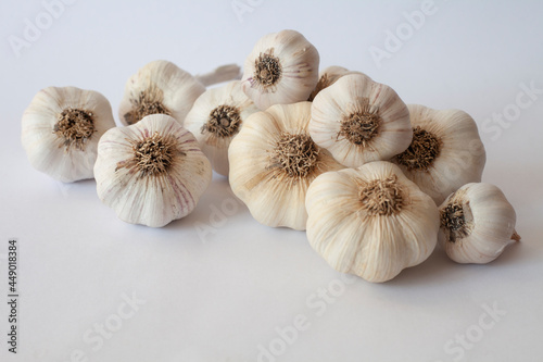 garlic isolated white background spice 