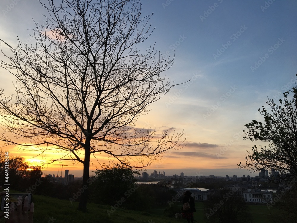 Naklejka premium sunset in the park