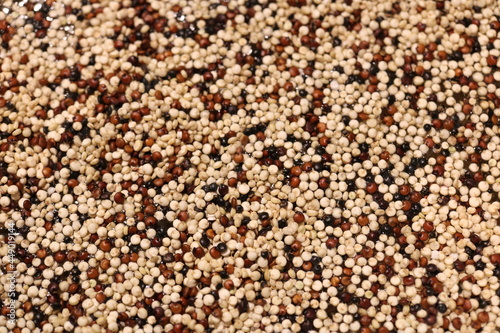 close up of tri-colored quinoa floating in water