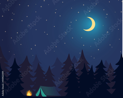 Camp Outdoor. Campground in Forest. Night sky with stars and moon. Vector Illustration