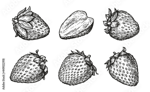 Strawberry set sketch. Hand drawn engraving style vector illustration