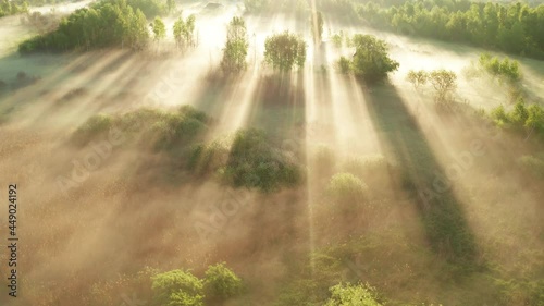 Beautiful misty dawn in the spring on the river.