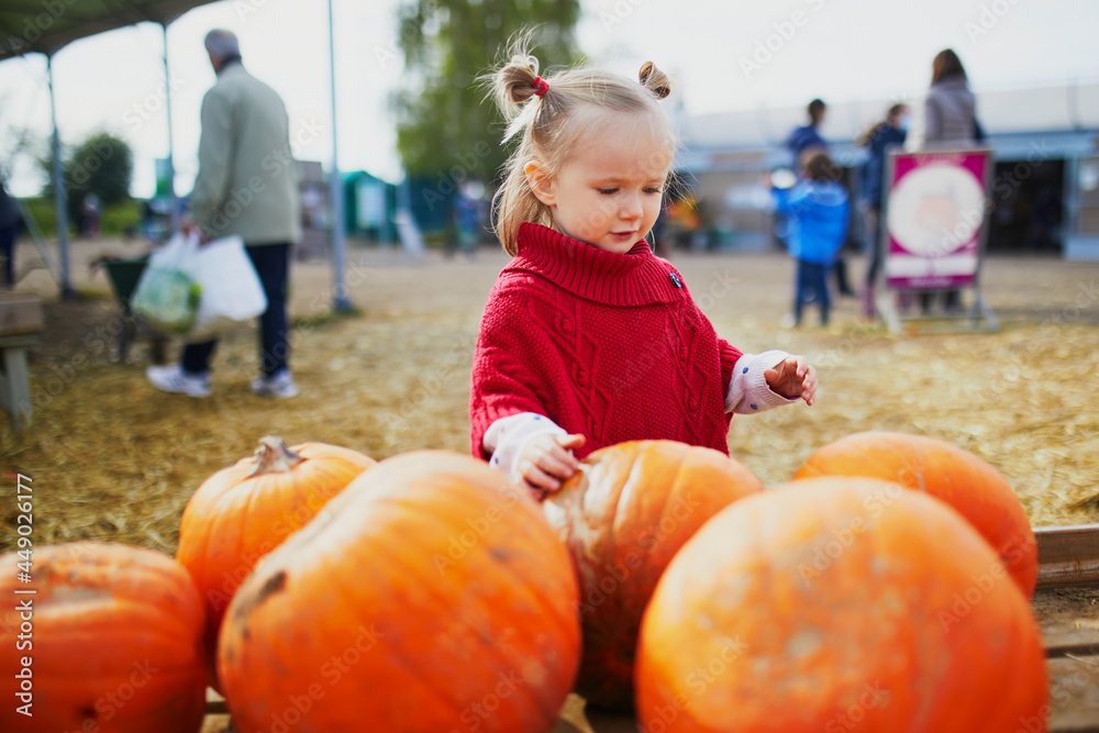 Fototapeta premium Adorable toddler girl in red poncho selecting pumpkin on farm