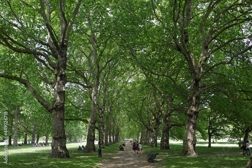 Canvas Print Green Park in London, UK