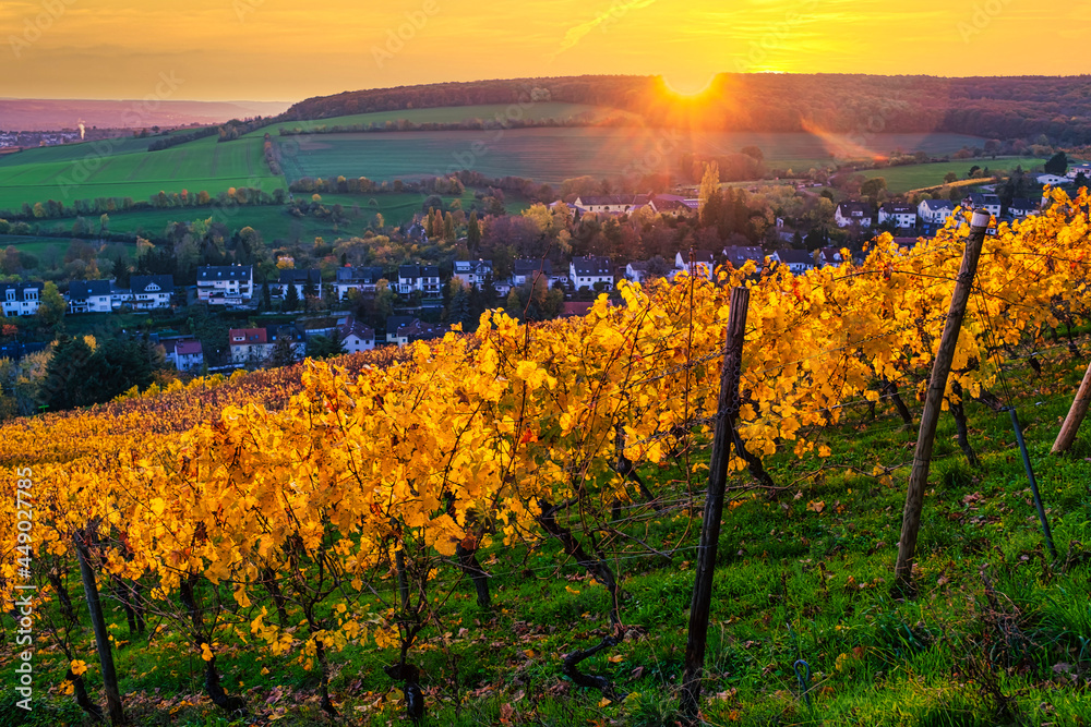 View of Frauenstein / Germany in the Rheingau during a magnificent autumn sunset 