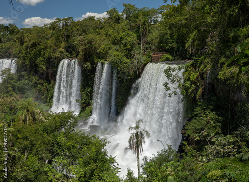 The Iguazu falls in the jungle. View of the white falling water flowing across the tropical rainforest in Iguazu national Park  Misiones  Argentina. The waterfalls and lush vegetation.