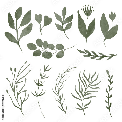 Set of vector watercolor leaves and branches. Lovely design element to make your own pattern, laurels and compositions. Great for wedding or invitations