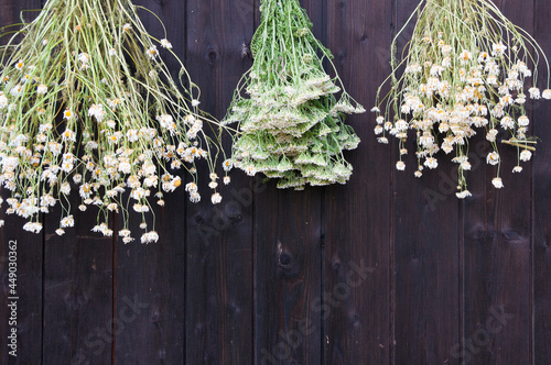three bouquets of dried medicinal meadow herbs hang against the background of a black wooden wall in close-up