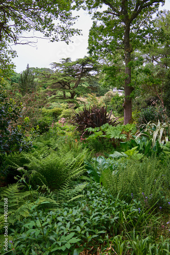 Lush growth in gardens on the west coast of Scotland