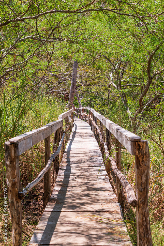 Rustic wooden bridge on the trails of the Curu Wildlife Reserve. Puntarenas, pacific of Costa Rica. Rustic wooden bridge on the trails of the Curu Wildlife Reserve. Puntarenas, pacific of Costa Rica.