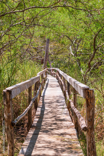 Rustic wooden bridge on the trails of the Curu Wildlife Reserve. Puntarenas, pacific of Costa Rica.