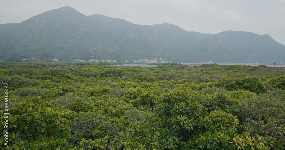 Mountain and sea in Tai O Mountain and sea in Tai O