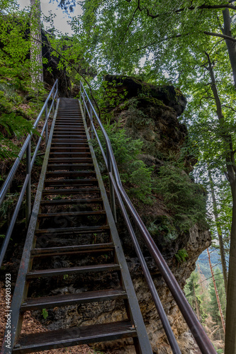 Treppe in der Sächsischen Schweiz