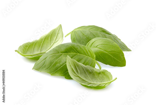 Basil leaves in closeup on white background