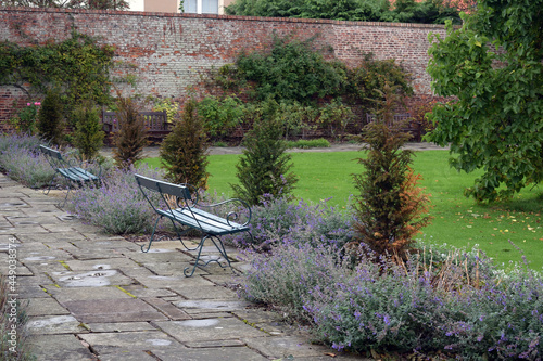 View of Secluded Garden with Trees & Empty Bench 