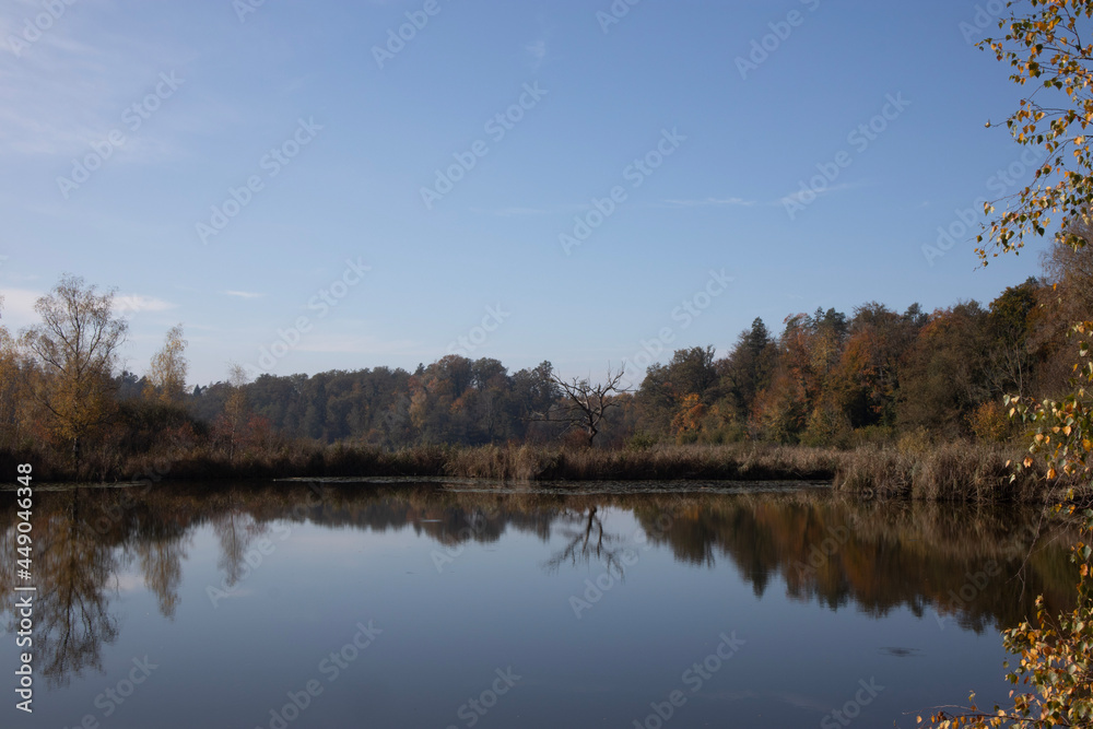 Fototapeta premium lake in autumn