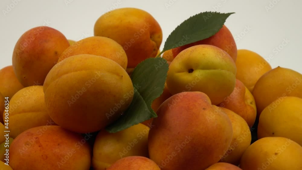 Ripe whole apricots lie on the green leaves of an apricot tree against a white background