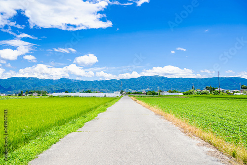 松本市郊外の田園風景