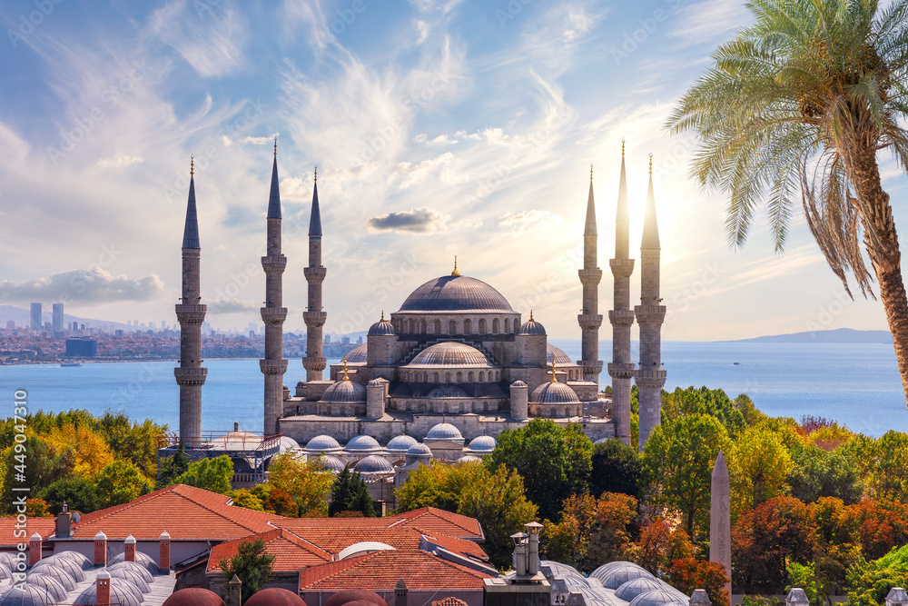 View on the Blue Mosque and roofs of Sultanahmet district, Fatih, Istanbul, Turkey