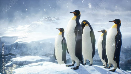 Emperor penguins stand on a huge iceberg and admire the winter polar landscape. Huge high glaciers in winter natural conditions. The loopable animation is perfect for natural and animal backgrounds.