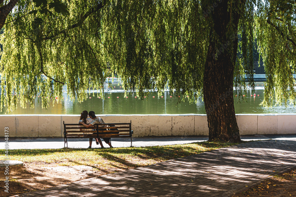 Couple in love on a bench under the trees
