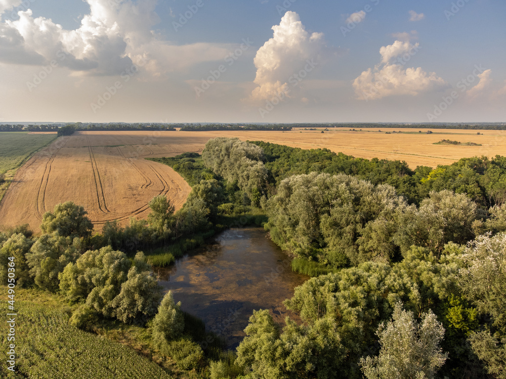 Drone view of pond among yellow wheat fields