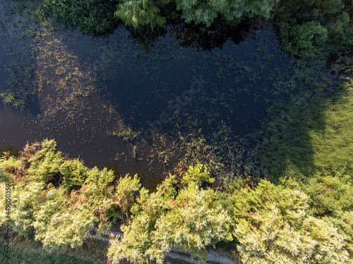 dron view swamp in forest