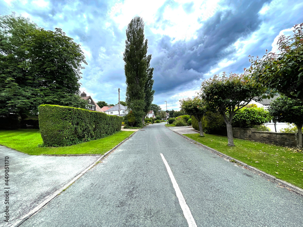 Looking along Moorway, with trees, bushes, and houses, on a cloudy day in, Guiseley, Leeds, UK Looking along Moorway, with trees, bushes, and houses, on a cloudy day in, Guiseley, Leeds, UK