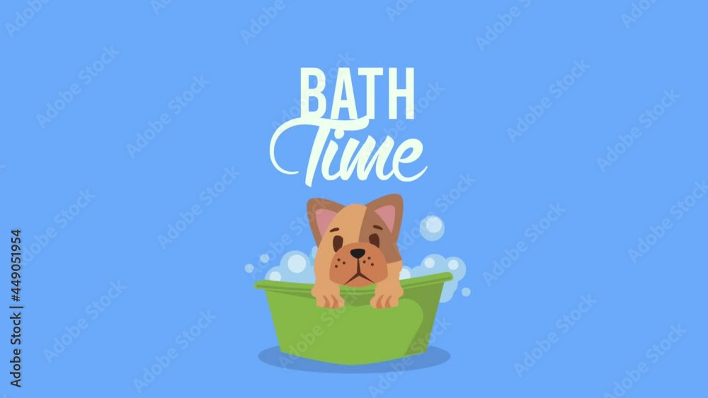 bath time lettering with cute dog in tub bath time lettering with cute dog in tub