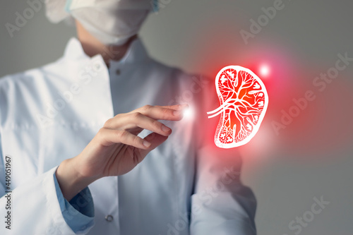 Female doctor holding virtual sketchy drawing of spleen in hand. Handrawn human organ, copy space on right side, raw photo colors. Healthcare hospital service concept stock photo. photo