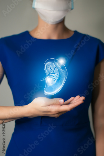 Woman in blue clothes holding virtual volumetric drawing of spleen in hand. Handrawn human organ, detox and healthcare, healthcare hospital service concept stock photo