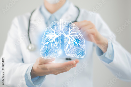 Unrecognizable doctor holding highlighted handrawn Lungs in hands. Medical illustration, template, science mockup. photo