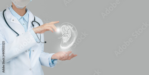 Female doctor holding virtual volumetric drawing of spleen in hand. Handrawn human organ, copy space on right side, raw photo colors. Healthcare hospital service concept stock photo. photo