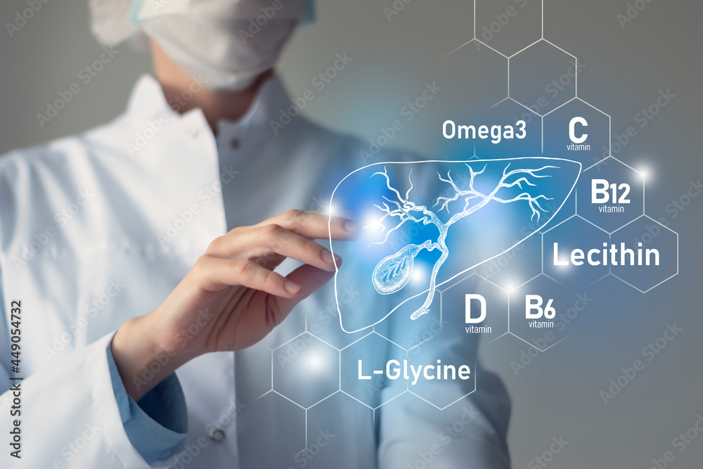 Set of main human organs with molecular grid, micronutrients and vitamins with doctor on blurry blue background. Gall Bladder organ. Set of main human organs with molecular grid, micronutrients and vitamins with doctor on blurry blue background. Gall Bladder organ.