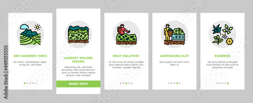 Tea Drink Production Onboarding Mobile App Page Screen Vector. Growth Of Tea On Plantation And Harvesting, Cultivation And Sorting, Flavoring And Packaging Illustrations