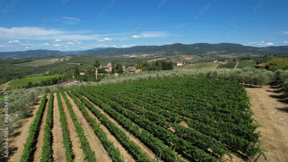 Beautiful aerial view of rows of green vineyards and olive trees with nice blue sky in the Chianti Classico region near Greve in Chianti, Italy. Beautiful aerial view of rows of green vineyards and olive trees with nice blue sky in the Chianti Classico region near Greve in Chianti, Italy.