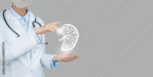 Female doctor holding virtual sketchy drawing of spleen in hand. Handrawn human organ, copy space on right side, raw photo colors. Healthcare hospital service concept stock photo. photo