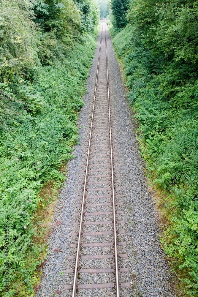 Eisenbahnschiene durchs Grüne Eisenbahnschiene durchs Grüne
