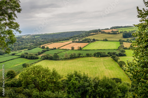 View of rural Devon landscape in early August. Near Great Torrington. photo