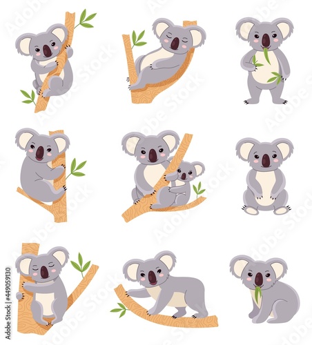 Cute koala. Funny australia animals collection, fluffy gray mini bear in different poses, mom and baby, eucalyptus trees with mammals characters. Adorable mascot vector cartoon flat isolated set