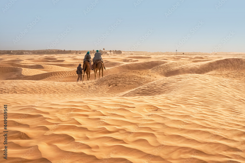 View of tourists who ride camels in the Sahara desert during strong winds View of tourists who ride camels in the Sahara desert during strong winds