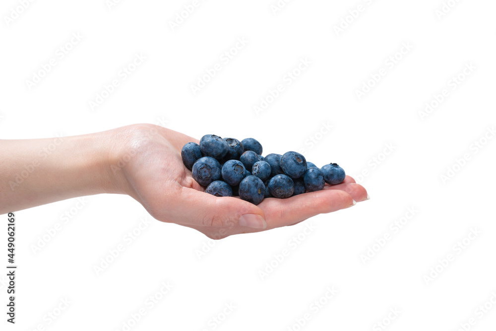 Bluepberry kept in hands isolated on white background. Bluepberry kept in hands isolated on white background.